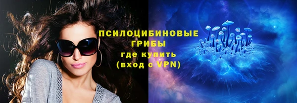 твердый Михайловск