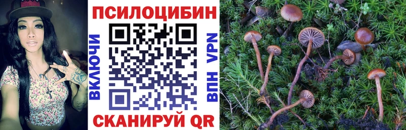 Псилоцибиновые грибы MAGIC MUSHROOMS  Иланский 