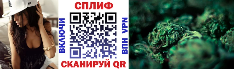 магазин продажи наркотиков  Иланский  МЕГА ссылка  Канабис сатива 